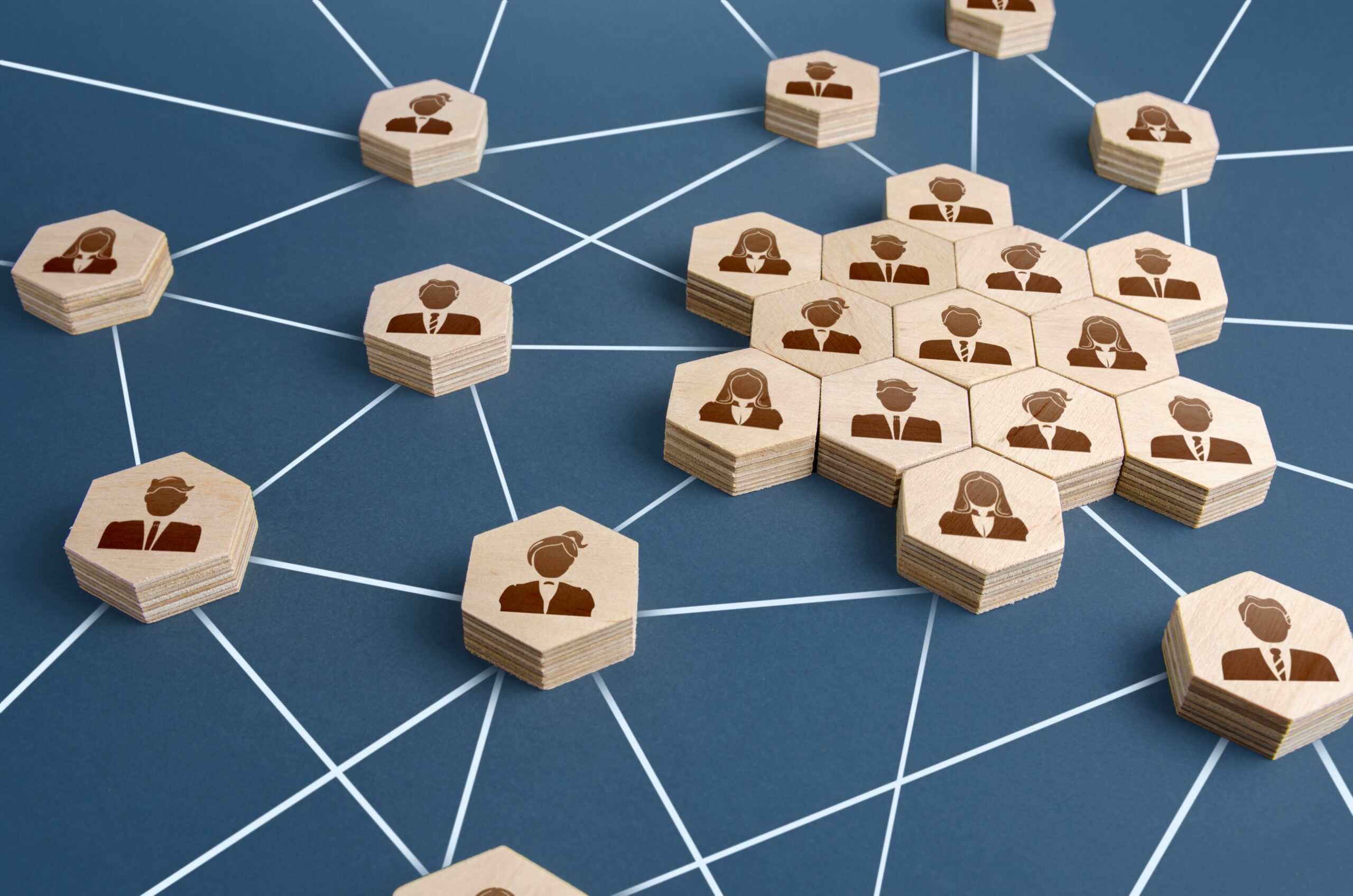tronos Domov 5 wooden hexagons forming connected network of peopl 2026 01 08 23 22 36 utc scaled tronos